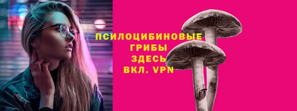 стаф Армянск