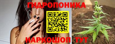 шишки Старая Купавна