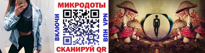 Псилоцибиновые грибы мухоморы даркнет сайт Новомосковск