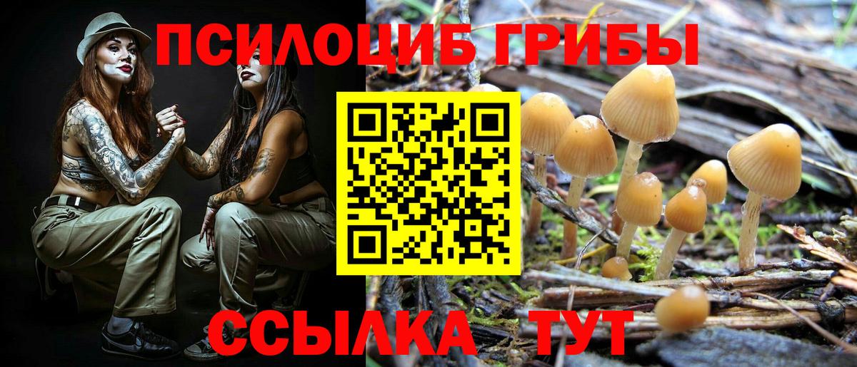 Новомосковск  Псилоцибиновые грибы мицелий  купить закладку  Вход с VPN 